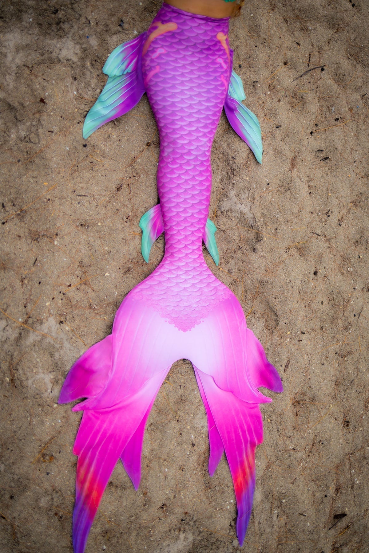 Barbie From Barbados GalleryTail - In Stock