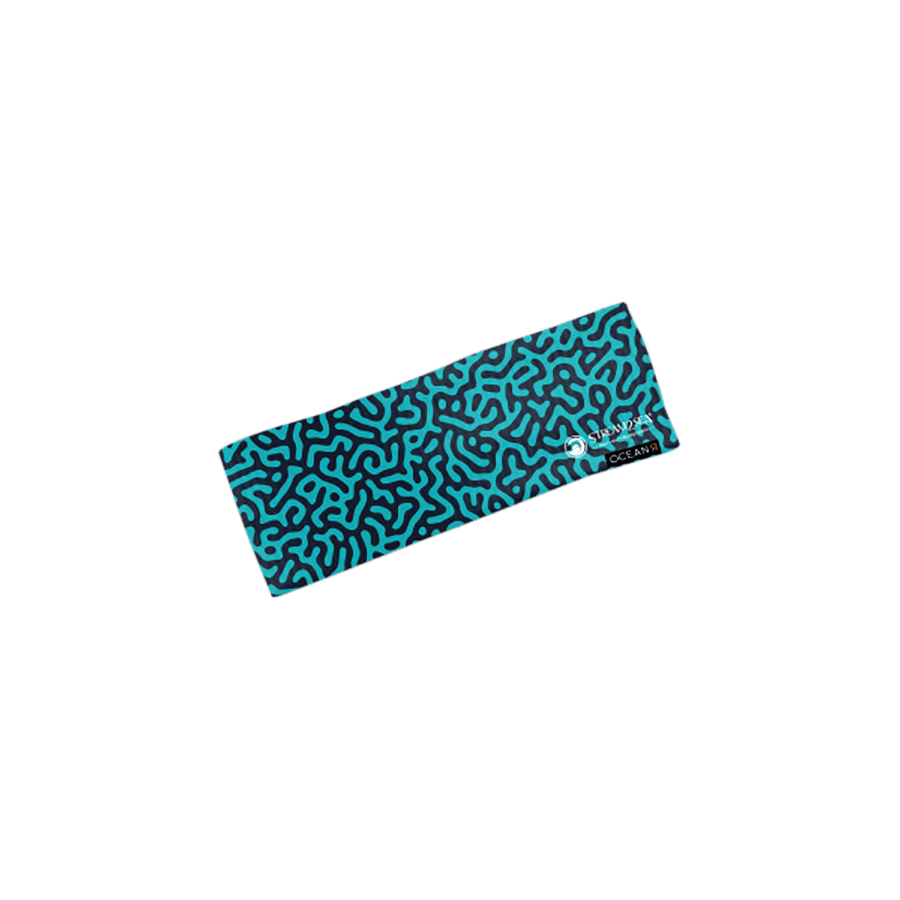 Adult Head Band - Blue Brain Coral