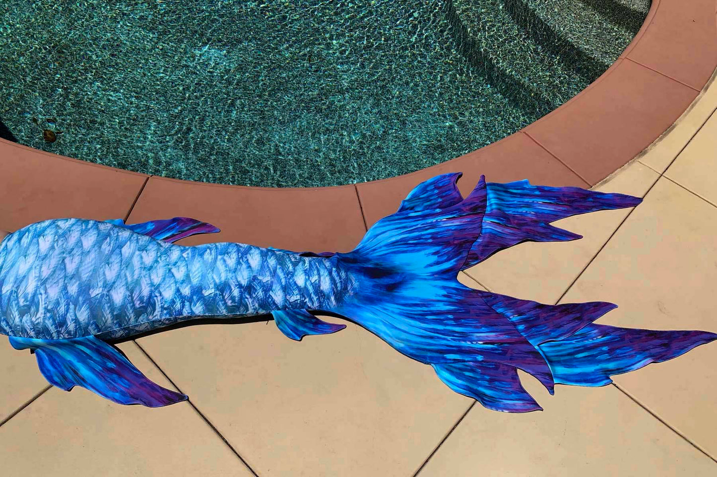 Lindsay Rapp GalleryTail - In Stock