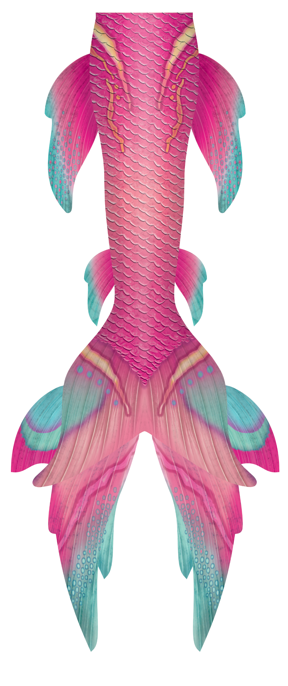 Paradise GalleryTail