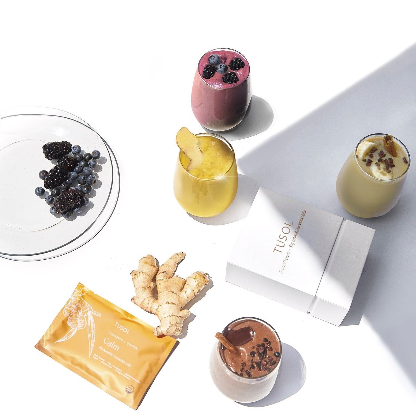 Plant Protein + Superfood Smoothie Mix (Sample Box)