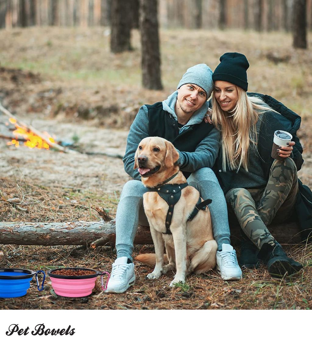 Blue Collapsible Pet Bowl