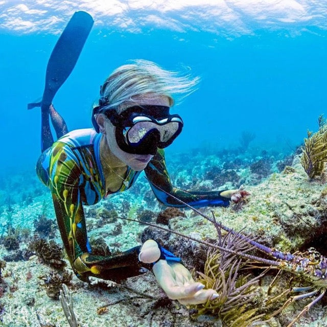 SlipIns Divewear