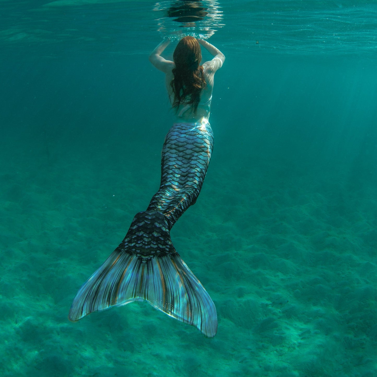 Tempest Mermaid Tail