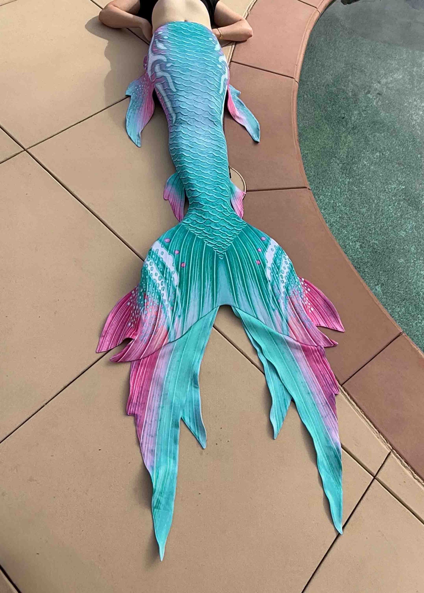 Aloha GalleryTail