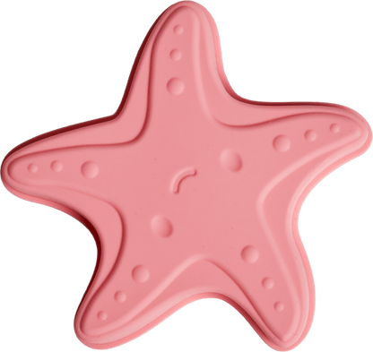 Sea Creatures Beach Toy Set