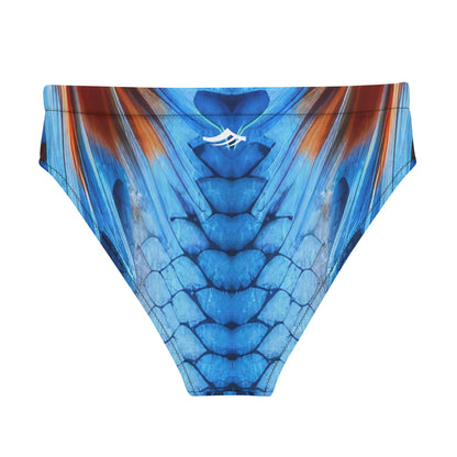 Dragon Eco Sport Bottoms