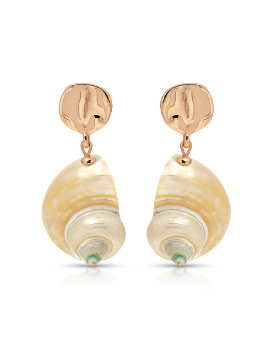 Sunken Treasure Shell Earrings