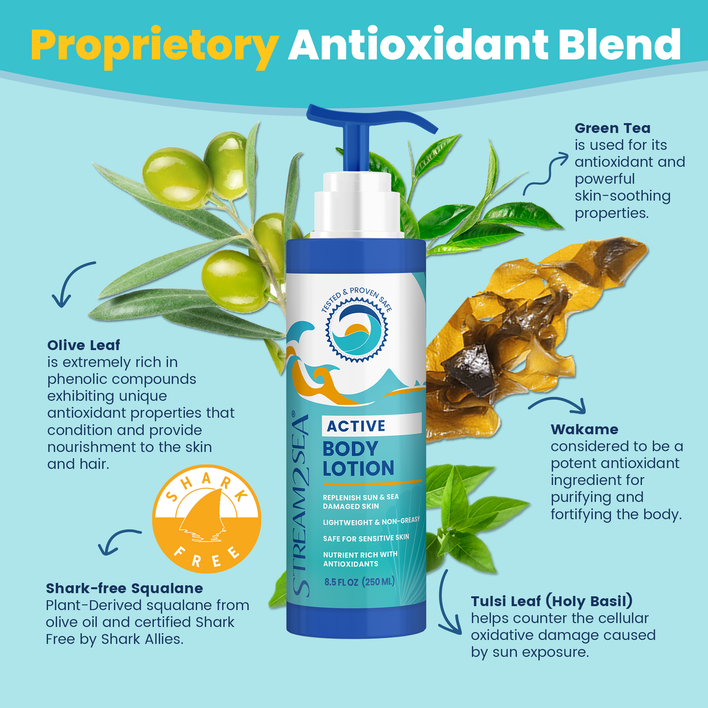 Active Body Lotion