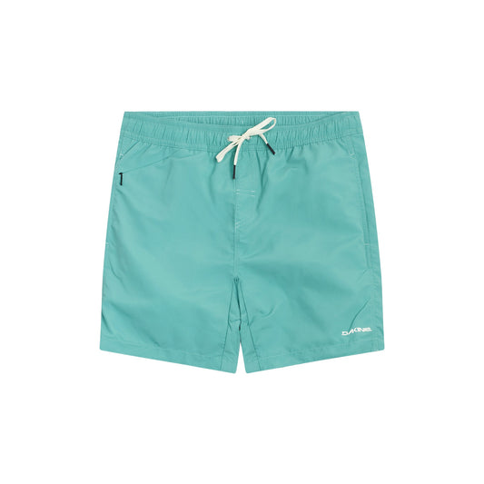Cruiser Men's Boardshorts