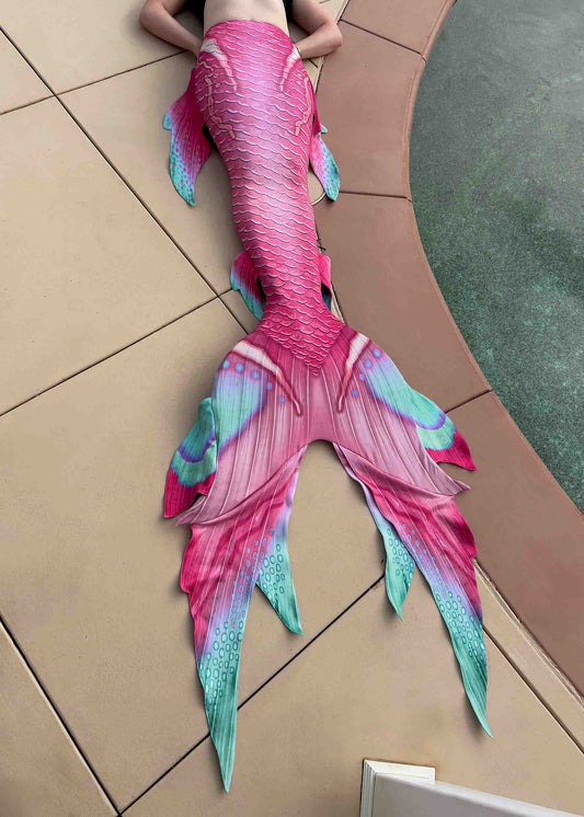 Paradise GalleryTail
