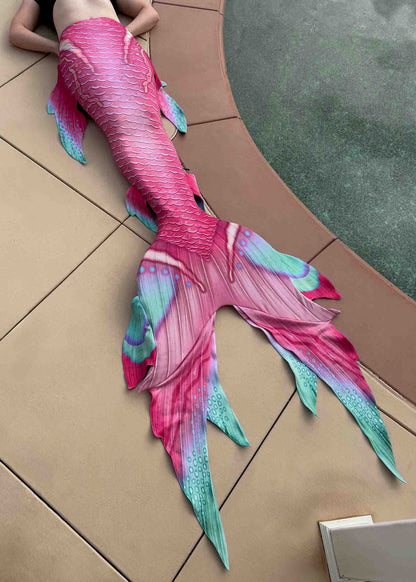 Paradise GalleryTail