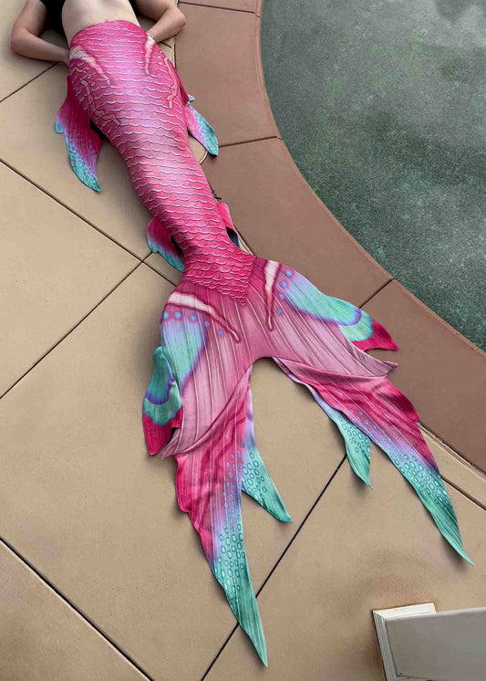 Paradise GalleryTail