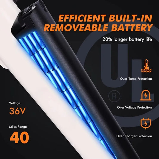 eBike Boys 750W Electric City Bike: Step-Through Frame, 36V Battery, 40-mile Range