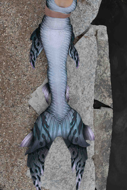Stingray GalleryTail