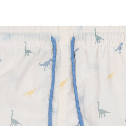 Swim Shorts - Multicolor - Dino