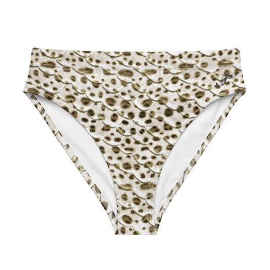 Leopard Shark Sport Bottoms - No Logo