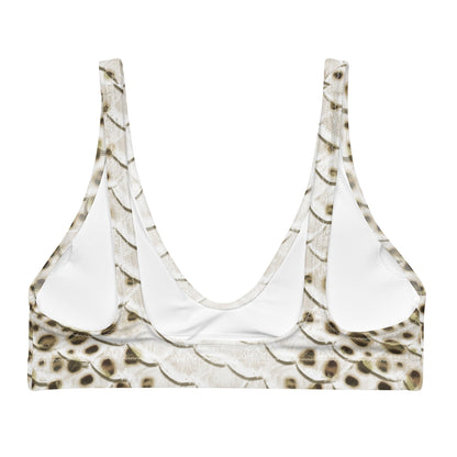 Leopard Shark Eco-Bikini Top