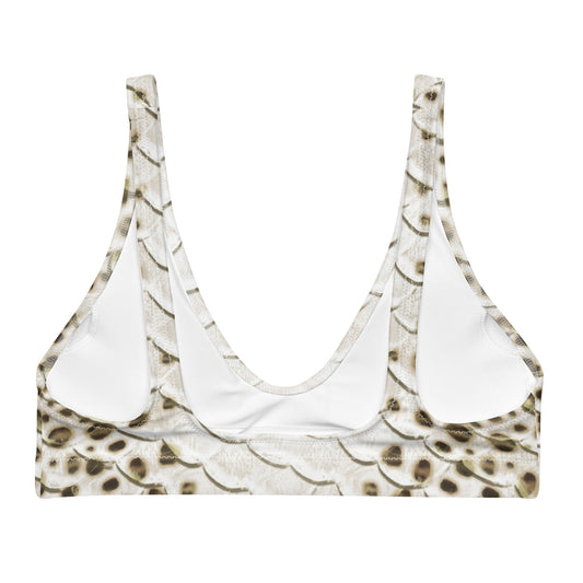 Leopard Shark Eco-Bikini Top