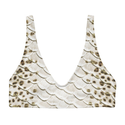 Leopard Shark Eco-Bikini Top