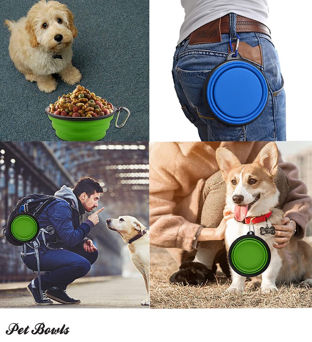 Blue Collapsible Pet Bowl