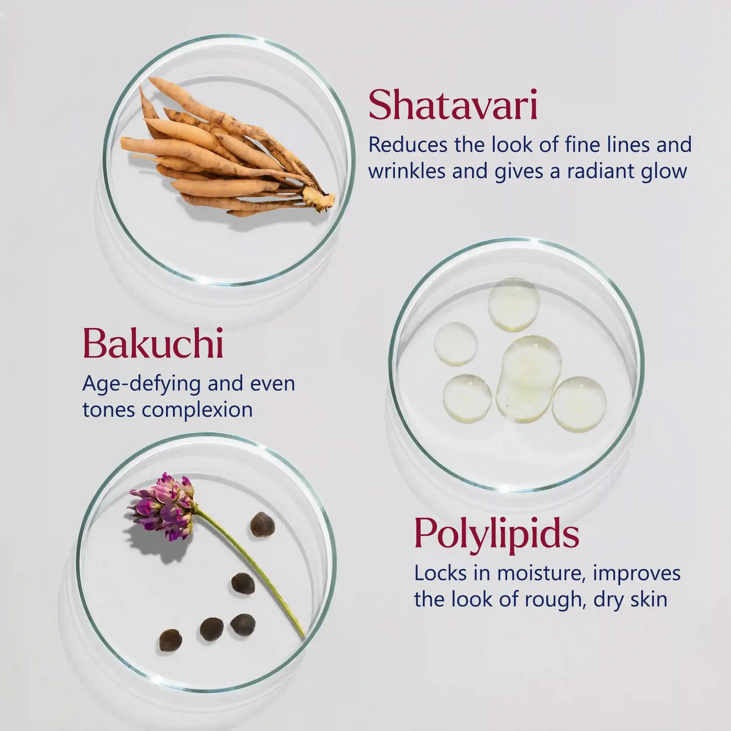Firm-Focus Face Mask - Firms, Smooths, Hydrates, Loose, Saggy, Aging Skin - Focused Facial Firming Action with Shatavari, Bakuchi and Polylipids - Best Face Mask for Loose, Saggy Facial Skin - With Clinically Tested Ingredients