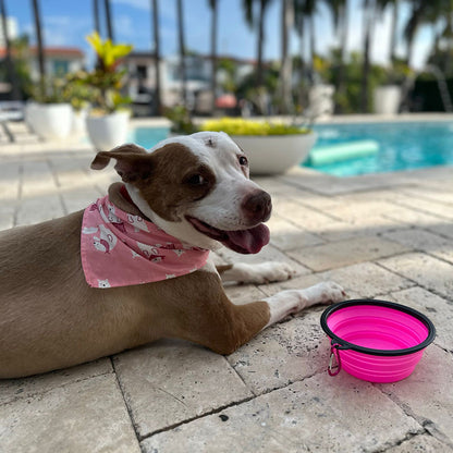 Pink Collapsible Pet Bowl