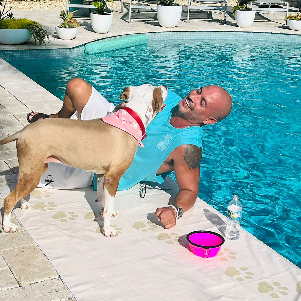 Pink Collapsible Pet Bowl