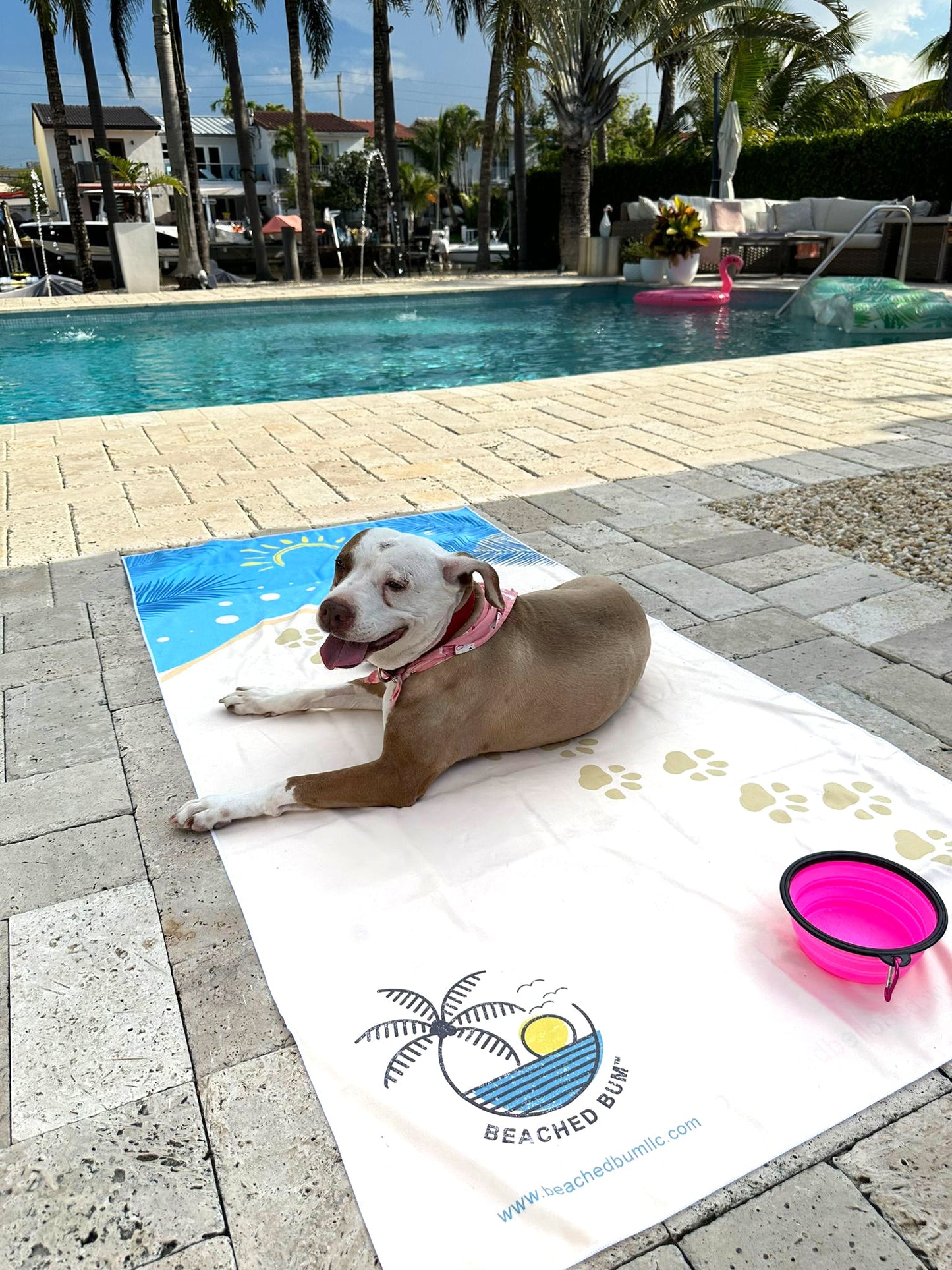 Sandy Paws Towel