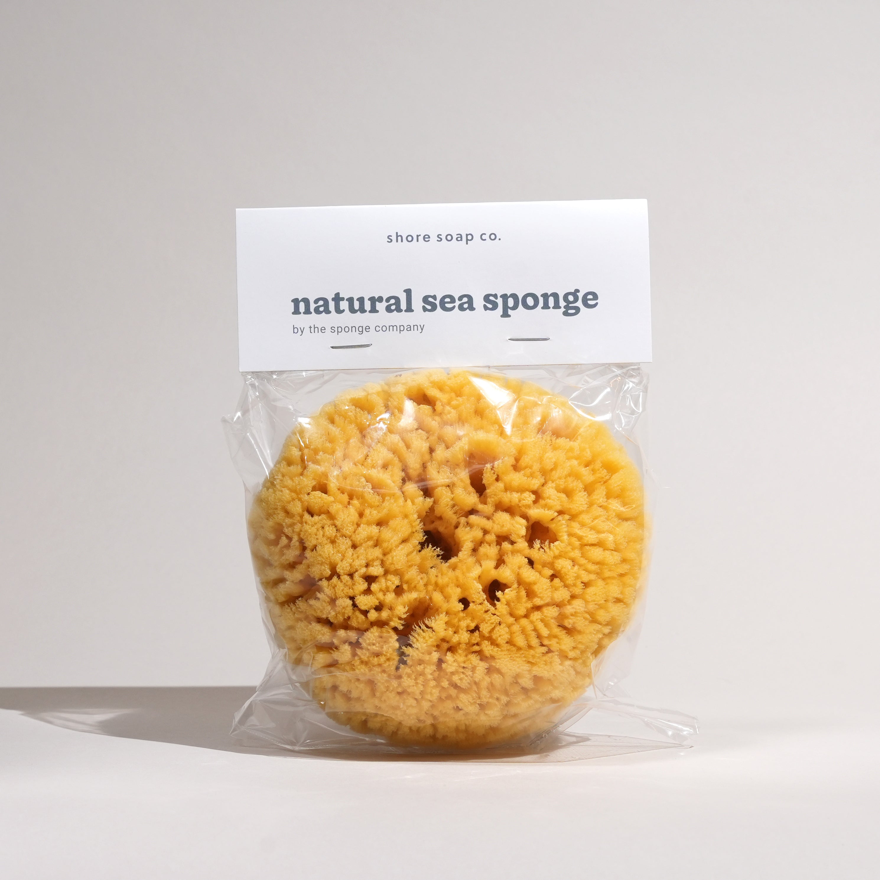 Natural Sea Sponge – CAYO CAICOS