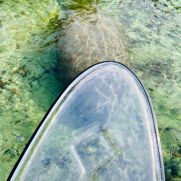 EXCLUSIVE Crystal Clear Transparent Kayak Package - LUXUSFIT Luxury Exercise & Recovery Equipment