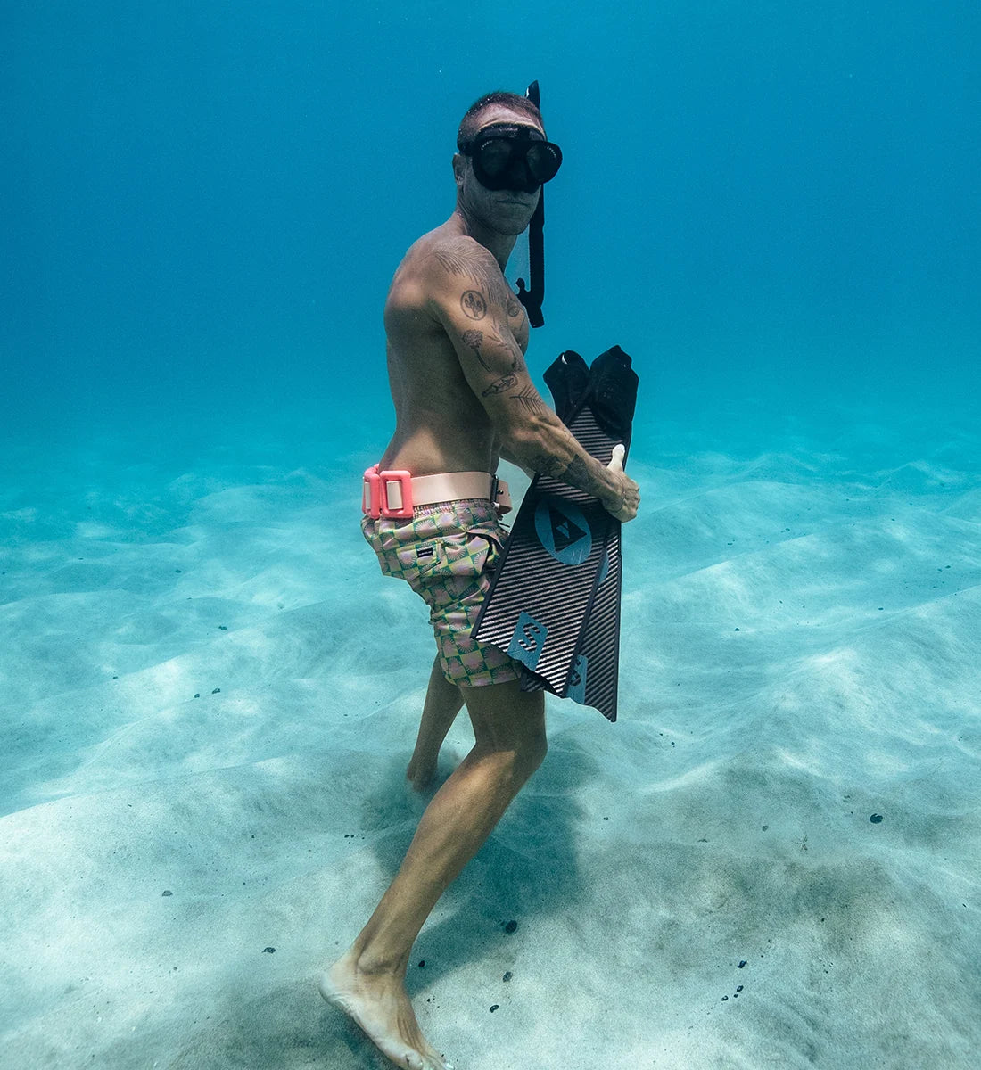 Coral Dive Weights