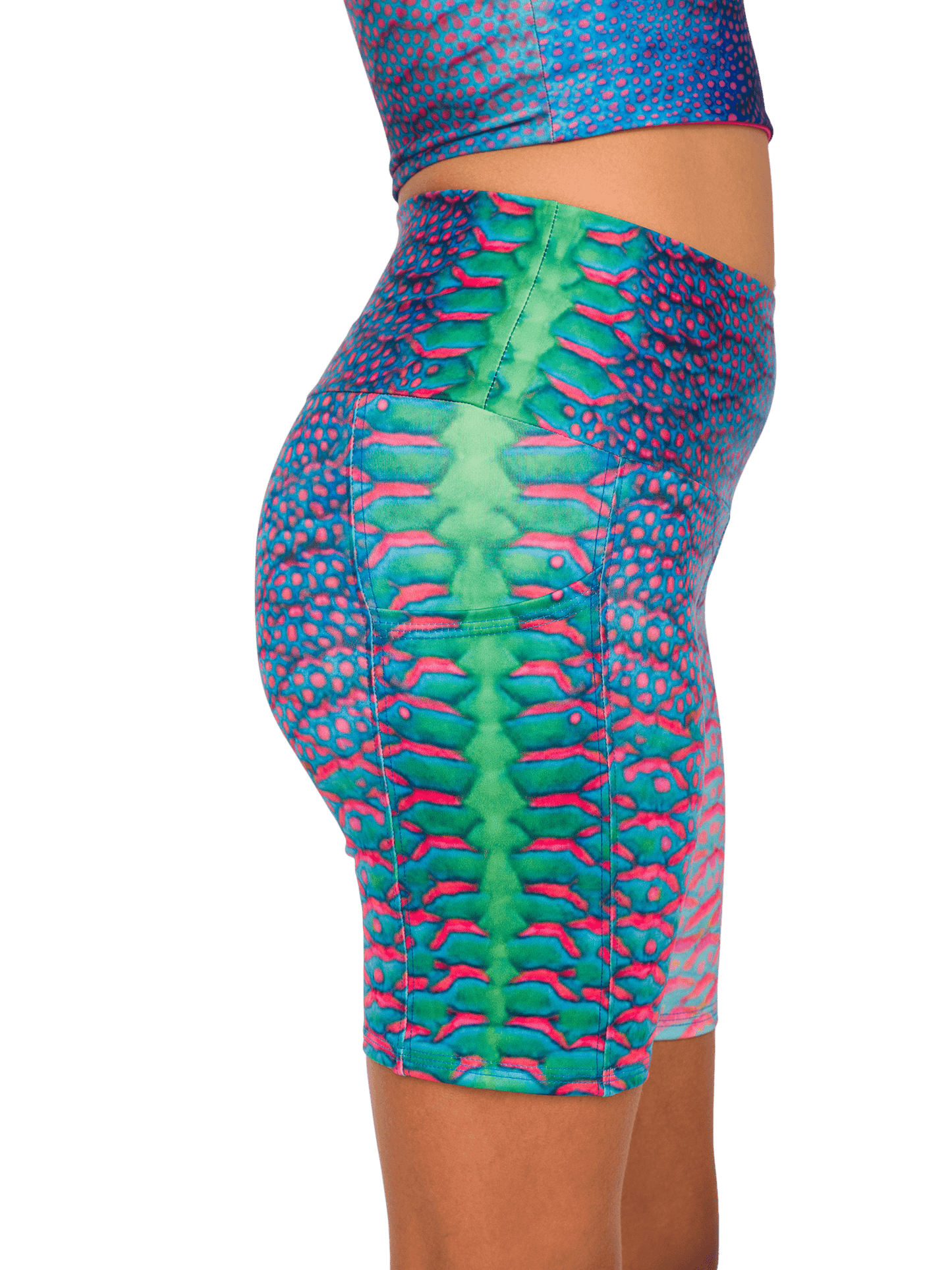 Parrotfish Protection 8 Inch Shorts