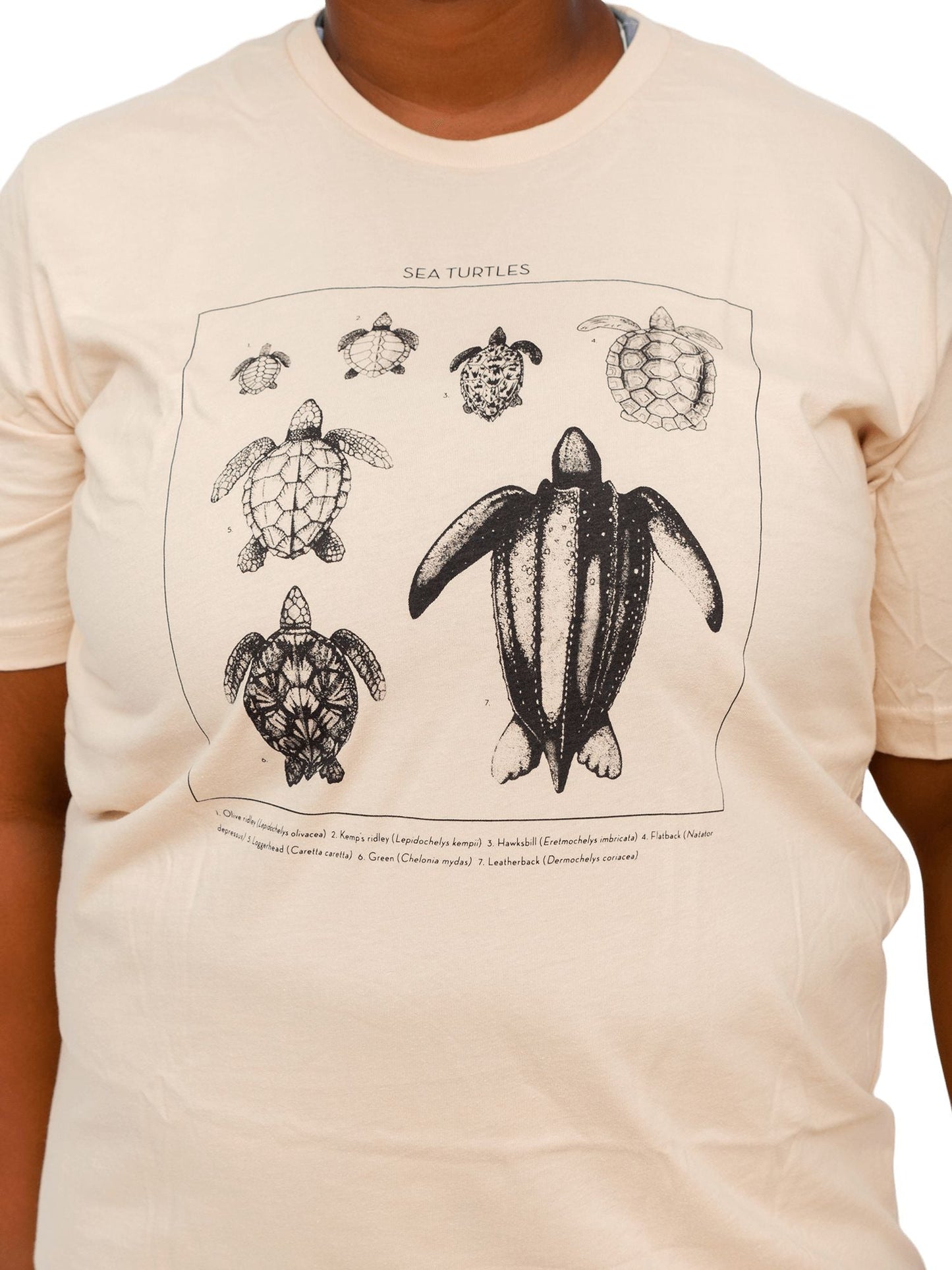 Sea Turtle ID Tee