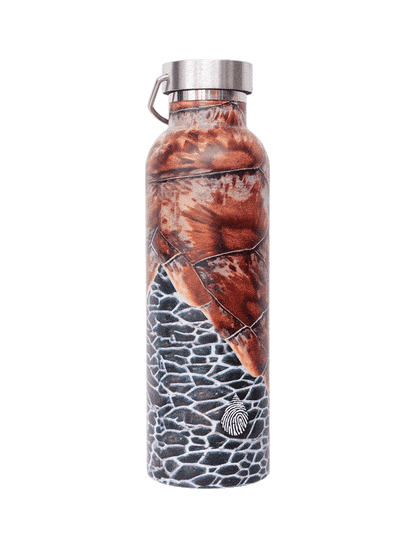 Sea Turtle Survival Insulated Bottle