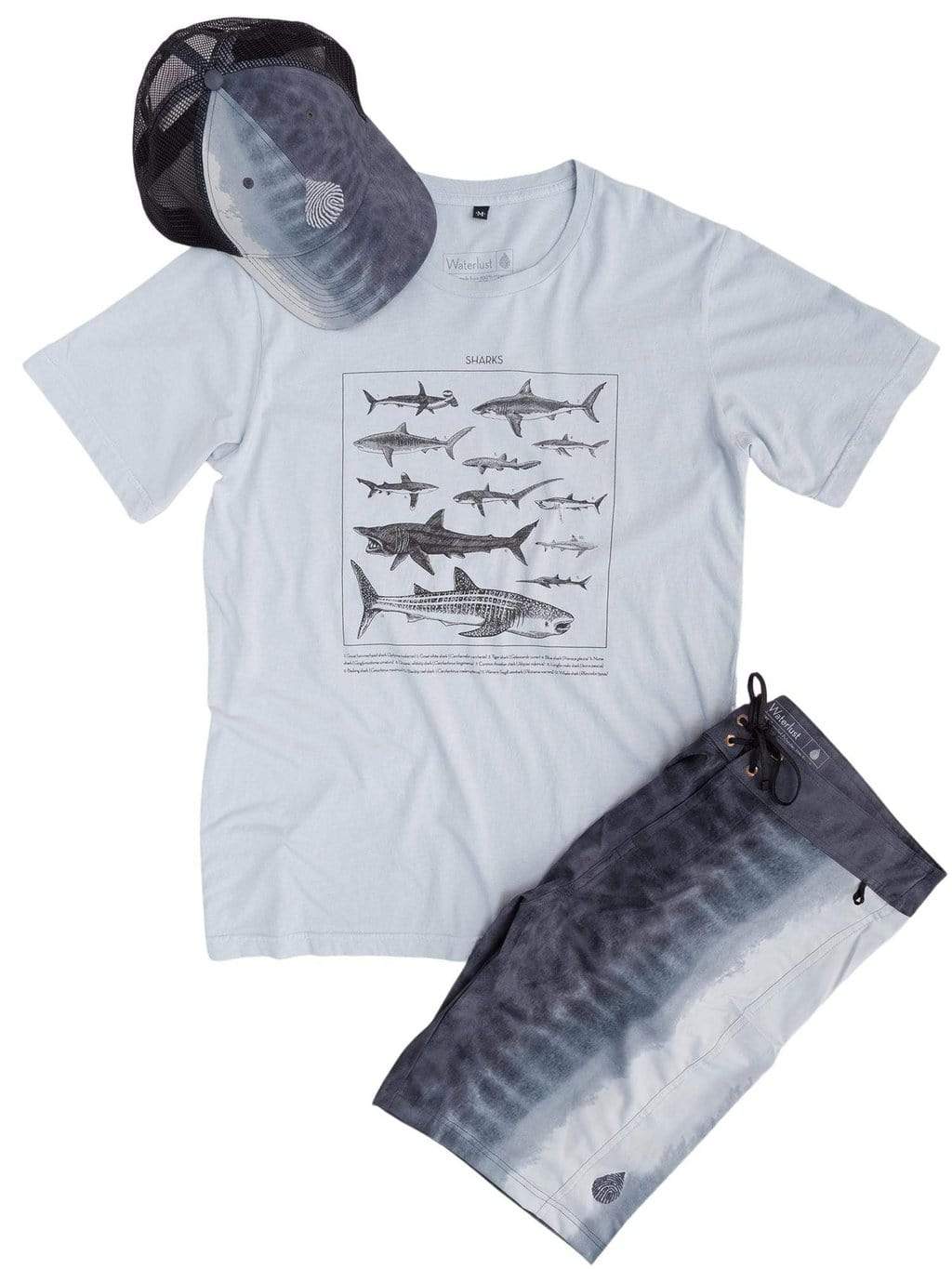 Shark ID Tee