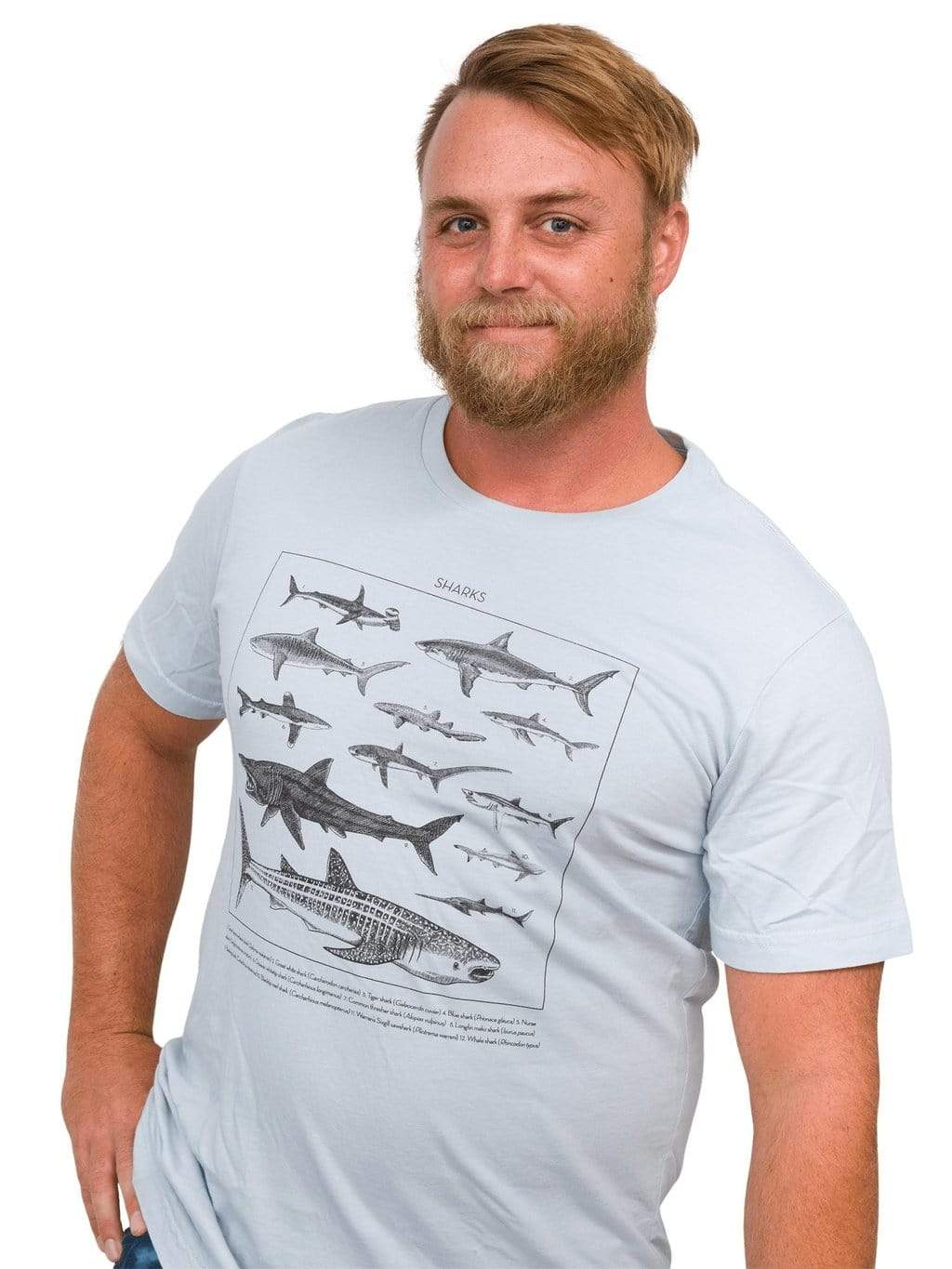 Shark ID Tee