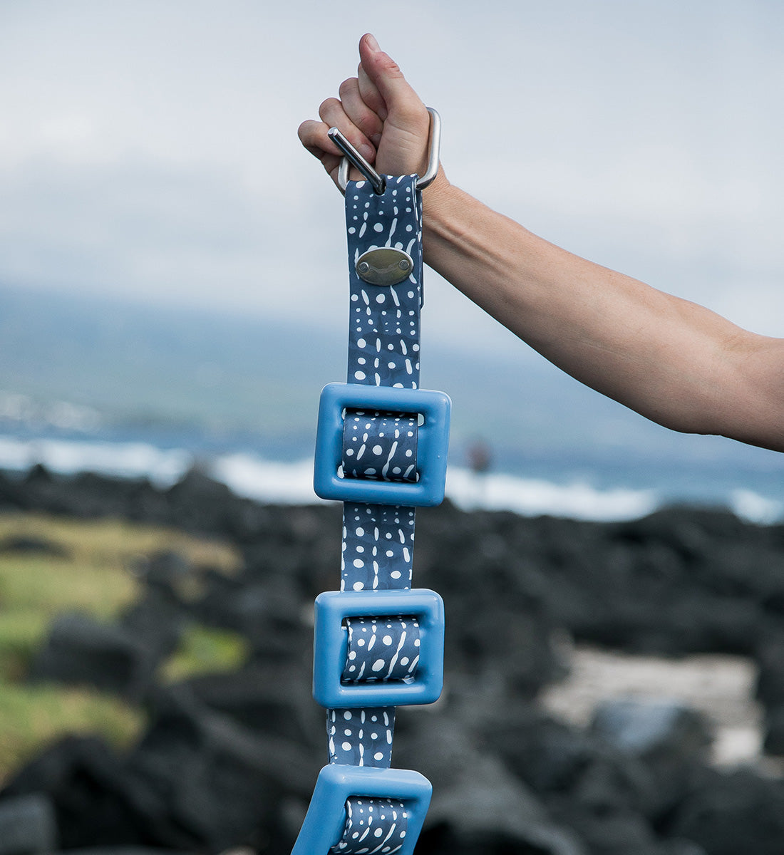Whale Shark Dive Belt
