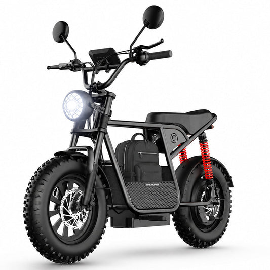 Windhorse D1 E-Scooter