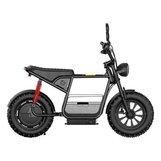 Windhorse D1 E-Scooter