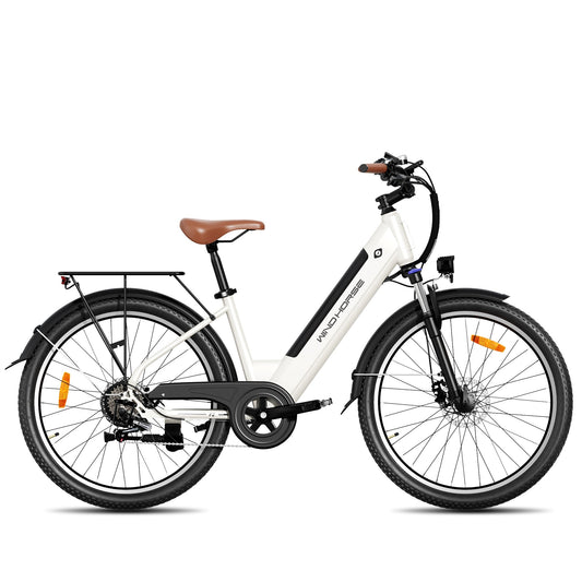 Windhorse F2 E-Bike