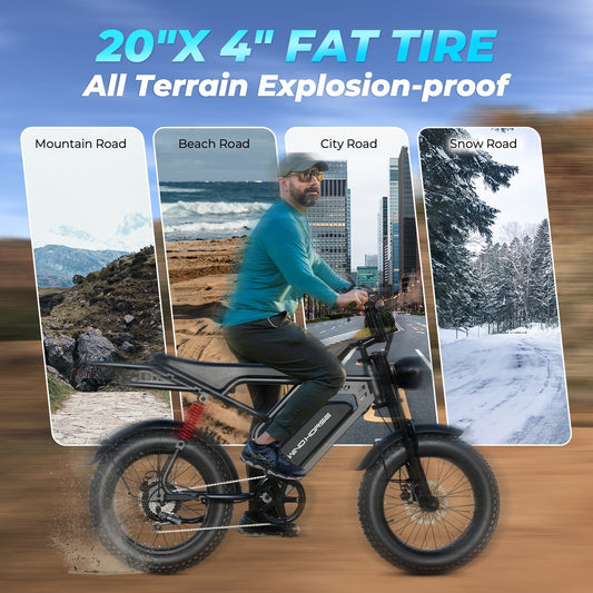 Windhorse V8 Pro E-Bike