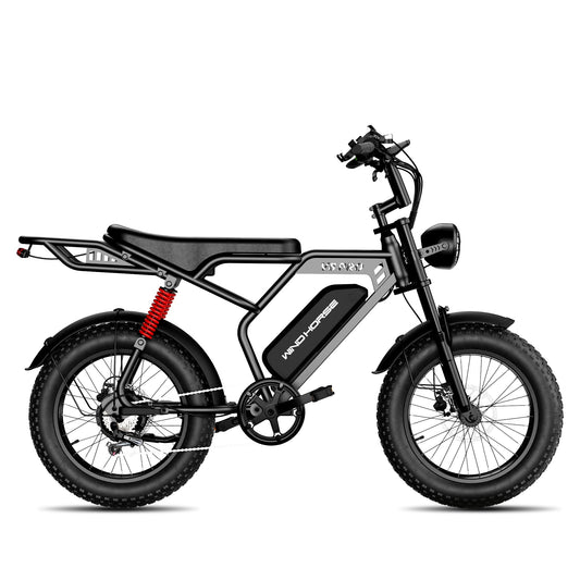 Windhorse V8 Pro E-Bike