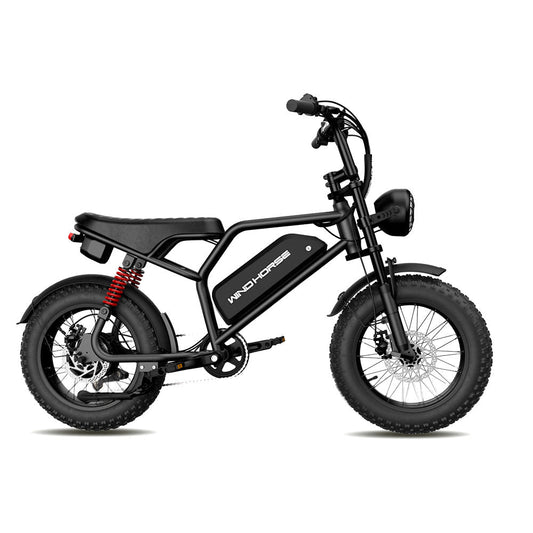 Windhorse V8 Mini Off-Road E-Bike