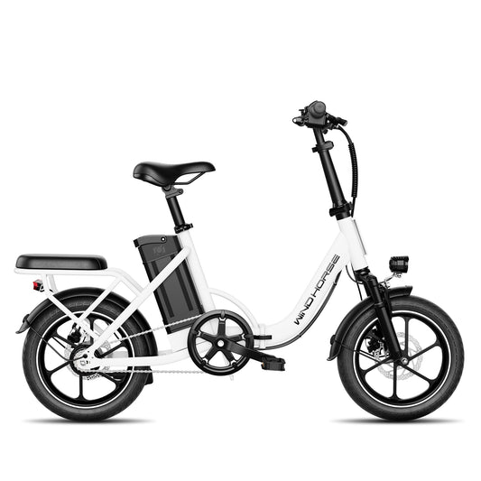 Windhorse W2B E-Bike