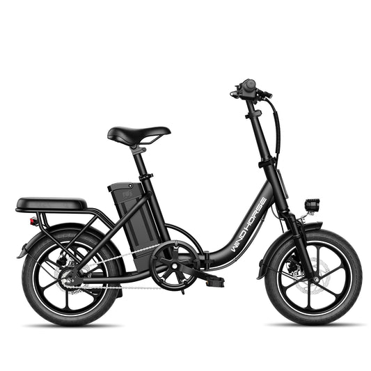 Windhorse W2B E-Bike